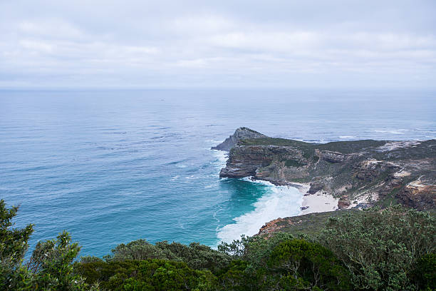 istock Cape of Good Hope Shoreline 515317462