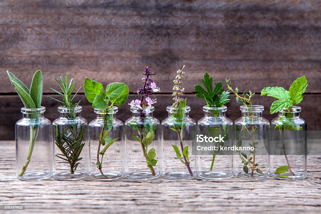 Bottle of essential oil with herbs . Bottle of essential oil with herbs holy basil flower, basil flower,rosemary,oregano, sage,parsley ,thyme and mint set up on old wooden background . Aromatherapy Stock Photo