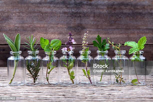 Bottle Of Essential Oil With Herbs Stock Photo - Download Image Now - Aromatherapy, Nature, Recovery