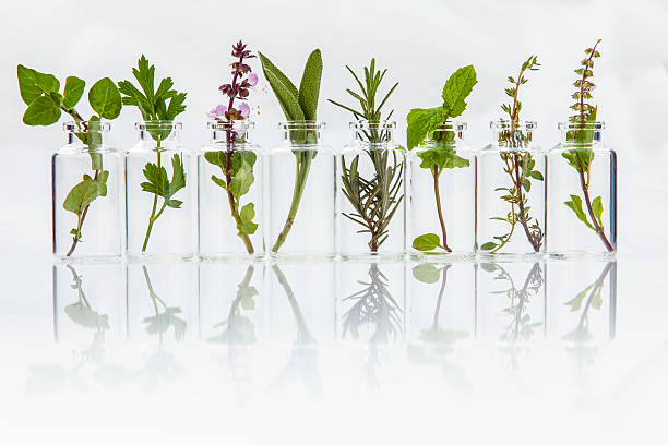 istock Bottle of essential oil with herbs . 515318050