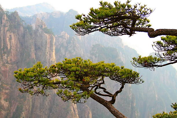 The natural landscape of Huangshan Mountain in Anhui, China