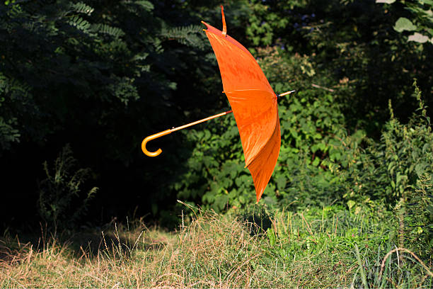 istock Flying umbrella. good wheather. No rain 515352925