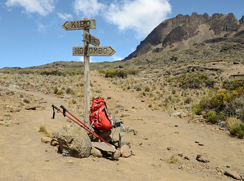 Рointer, backpack and sticks at the route to Mawenzi