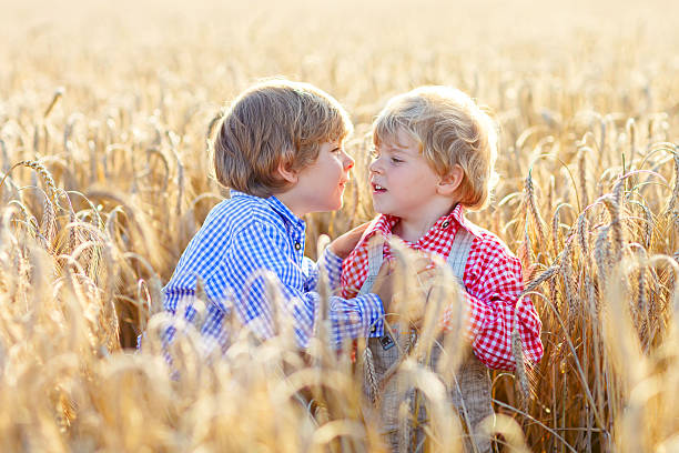 istock Two sibling boys having fun and speaking on wheat field 515366100