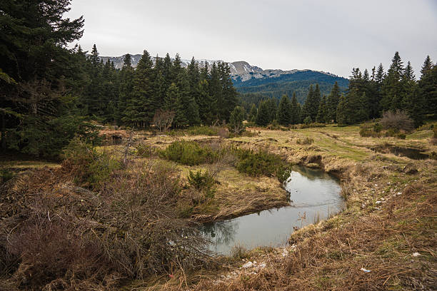 istock Spring roads after heavy rain at Elati, Greece 515368952
