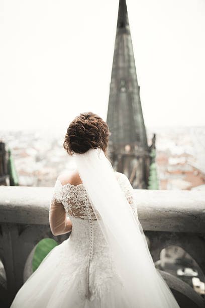 istock Beautiful bride on her wedding day with a view of 515369468