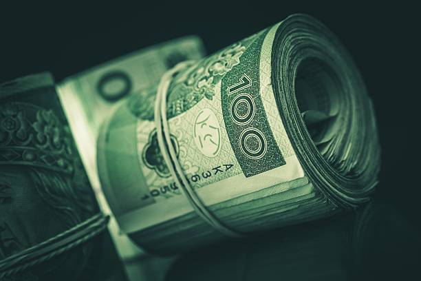 istock Rolled Cash Polish Zloty 515370294