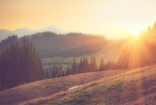 Beautiful spring mountain landscape at sunrise. Filtered image:cross processed vintage and soft focus effect.