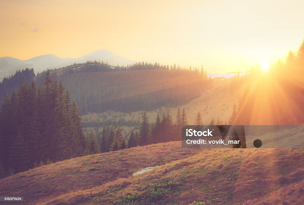 Beautiful spring mountain landscape at sunrise. Beautiful spring mountain landscape at sunrise. Filtered image:cross processed vintage and soft focus effect. Landscape - Scenery Stock Photo