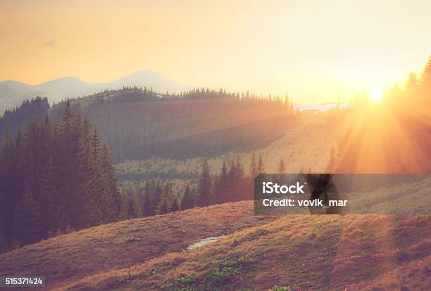 Beautiful Spring Mountain Landscape At Sunrise Stock Photo - Download Image Now - Landscape - Scenery, Mountain, Tree