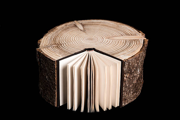 Tree Trunk and Book. stock photo