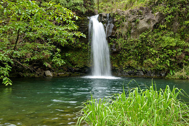 cascada tropical - hana fotografías e imágenes de stock