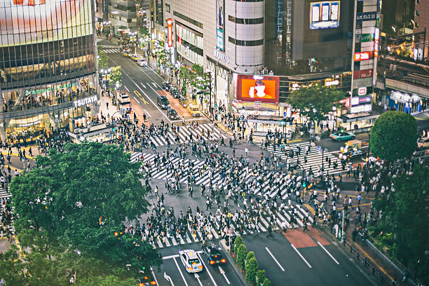 istock Shibuya ward 515375318