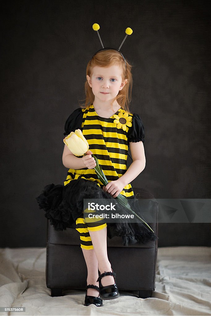 Queen Bee Little girl in bee costume. Bee Stock Photo