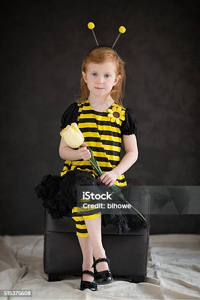 Queen Bee Stock Photo - Download Image Now - Bee, Costume, Bee Costume