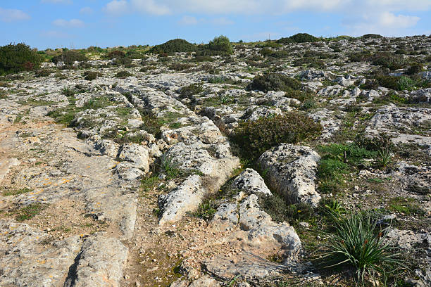 Parallel grooves of prehistoric cart ruts, mysteriously scored into the rock at Clapham Junction in Malta.