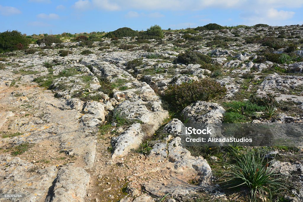 Prehistoric cart ruts in Malta. Parallel grooves of prehistoric cart ruts, mysteriously scored into the rock at Clapham Junction in Malta. Alien Stock Photo
