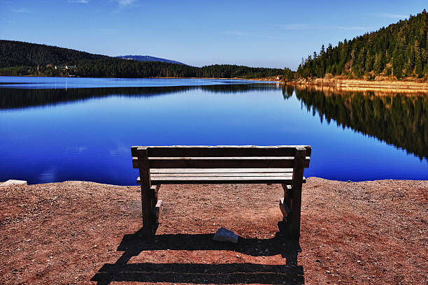 Beautiful summer landscape on the lake