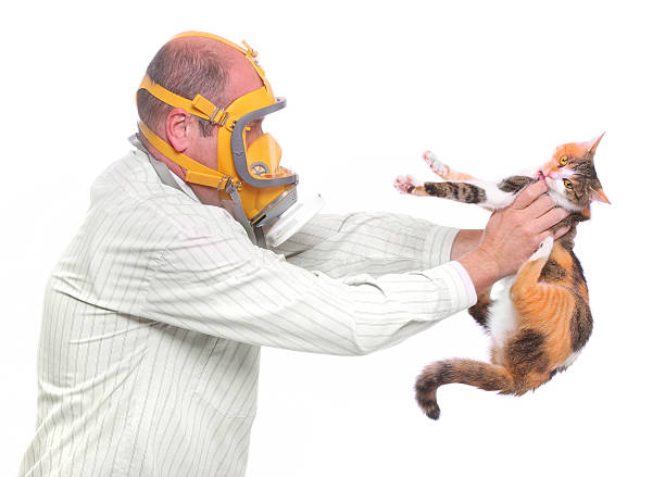 istock Allergy to animal. 515377884