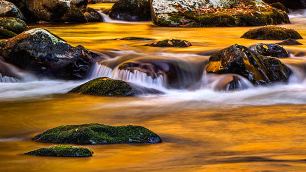 Golden Stream at Tremong Golden stream in Tremont inthe Great Smoky Mountains National Park in the Fall tremont stock pictures, royalty-free photos & images