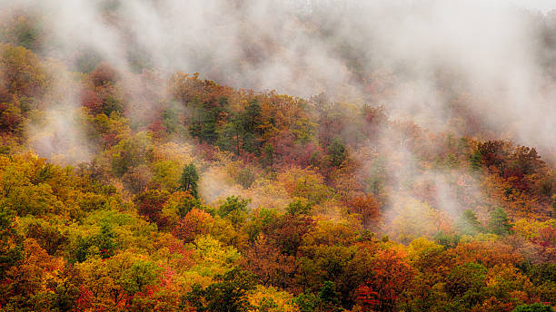 istock Mist Fall in the Smokies 515380078