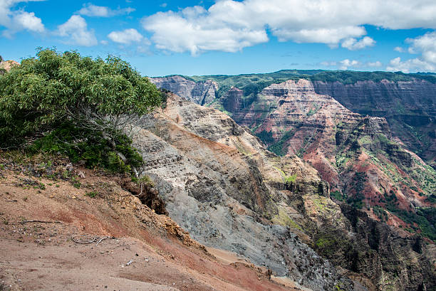istock Waimea Canyon State Park 515400999