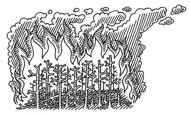 Vector illustration of Forest Fire Disaster Drawing