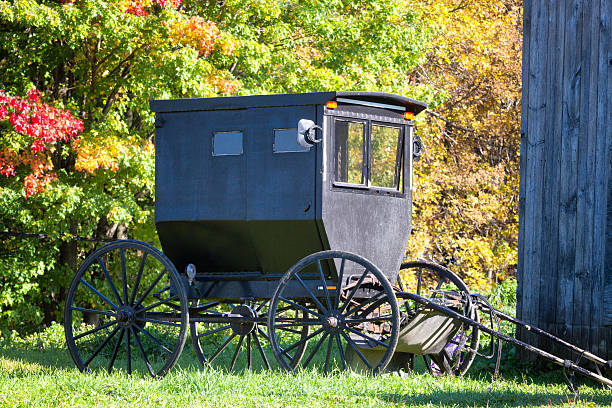 istock Black Amish Horse Carriage in Autumn 515403591