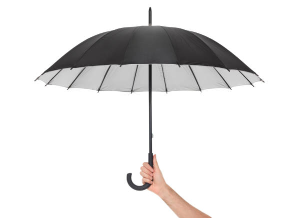 Hand holding black umbrella on white