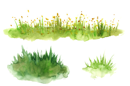 Green grass hand drawn with watercolors isolated on white