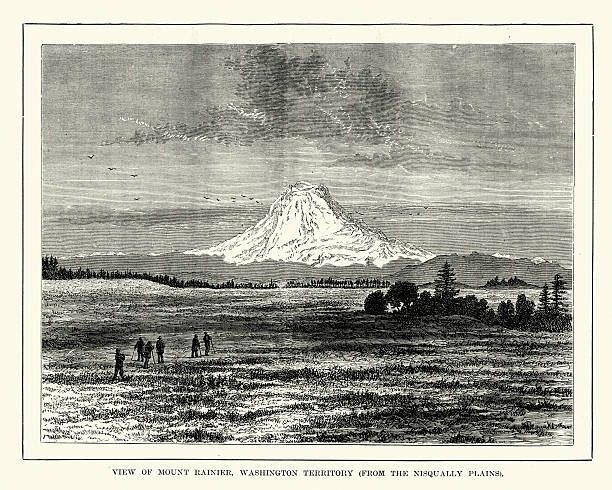 Mount Rainier, Washington Territory 19th Century Vintage engraving of Mount Rainier, Mount Tacoma, or Mount Tahoma is the highest mountain of the Cascade Range of the Pacific Northwest, and the highest mountain in the state of Washington. It is a large active stratovolcano. 19th Century mt rainier stock illustrations