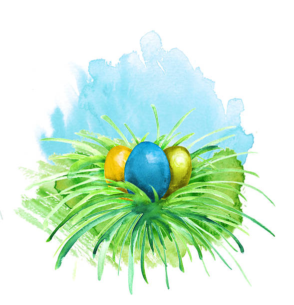 ilustrações, clipart, desenhos animados e ícones de ovos de páscoa na grama - easter animal nest multi colored cheerful