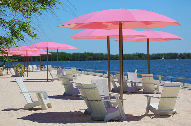istock Toronto City Waterside Park 515442366