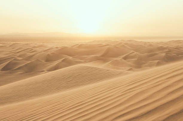 wüstensonne - wüste stock-fotos und bilder