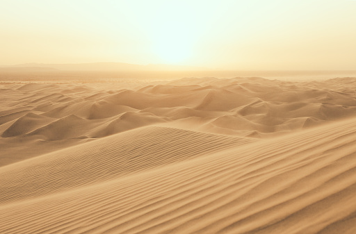 Sol del desierto photo