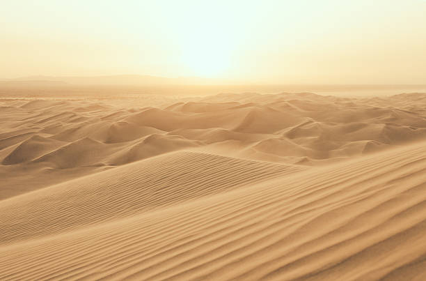 pustynia słońca - sand dune zdjęcia i obrazy z banku zdjęć