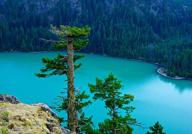 ノースカスケードグリーン湖 - north cascades national park ストックフォトと画像