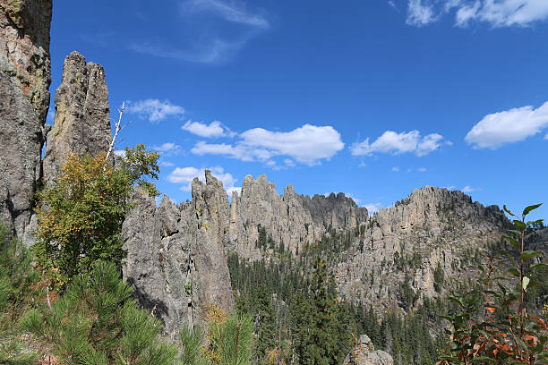 istock Cathedral Spires on Needles Highway - Black Hills 515450739
