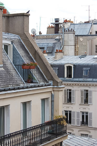 istock view over the roofs of Paris 515450867