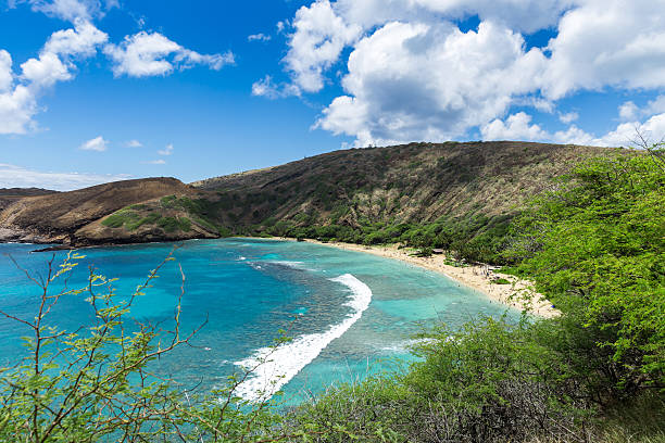 playa y arrecifes de bahía de hanauma en día soleado, hawai - hanauma bay hawaii islands oahu bay fotografías e imágenes de stock