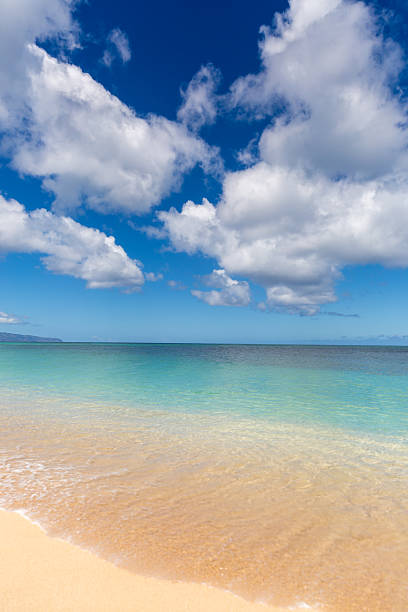 istock Sunset Beach on Sunny Day, North Shore, Oahu, Hawaii 515453537
