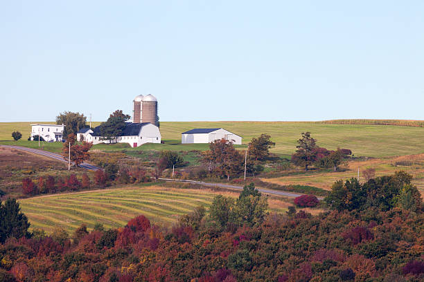 istock Farmstead on Hilltop in Autumn 515453735