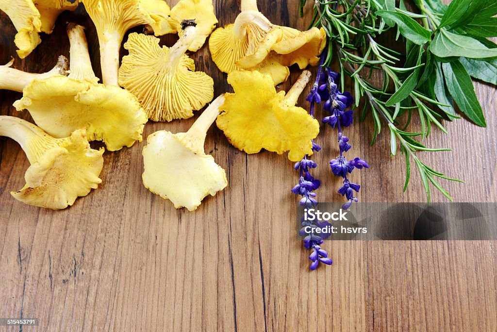 golden chanterelle with herbs golden chanterelle mushroom (Cantharellus cibarius) with lavender, rosemary and sage as well as copyspace . Branch - Plant Part Stock Photo