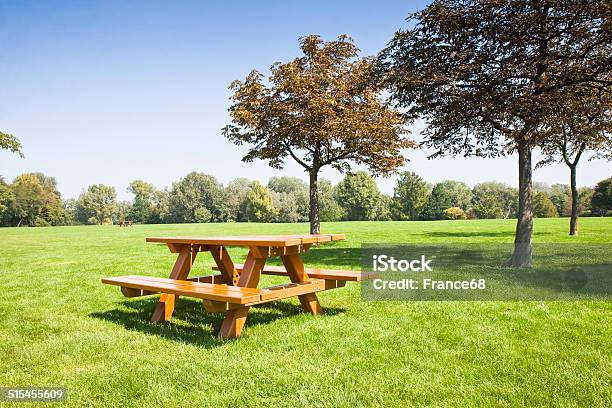 Picnic Table On A Green Meadow Stock Photo - Download Image Now - Public Park, Picnic, Picnic Table