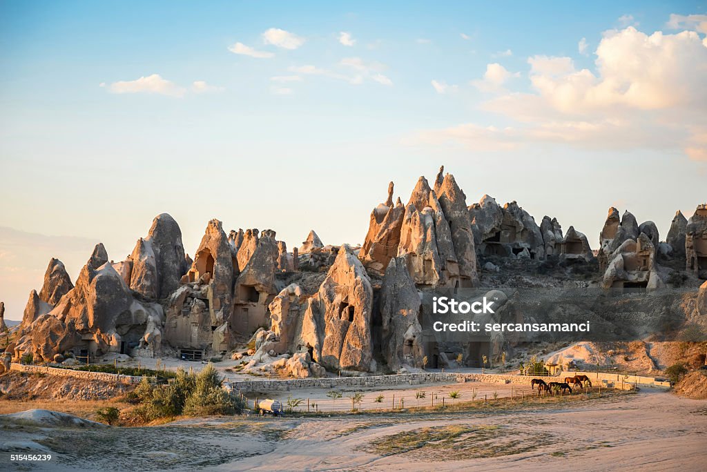 koňská farma - Bez autorských poplatků Anatolie Stock fotka koňská farma - Bez autorských poplatků Anatolie Stock fotka