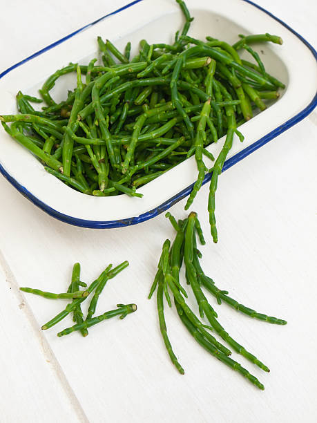 rock samphire on a white table close up of  fresh green rock samphire in a white enamel dish on a rustic white wooden table top salicornia europaea stock pictures, royalty-free photos & images