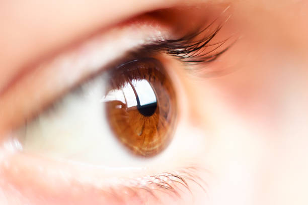 istock Female eye with long eyelashes close up 515469870