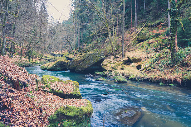 istock river in forest landscape during autumn, vintage filtered 515470626