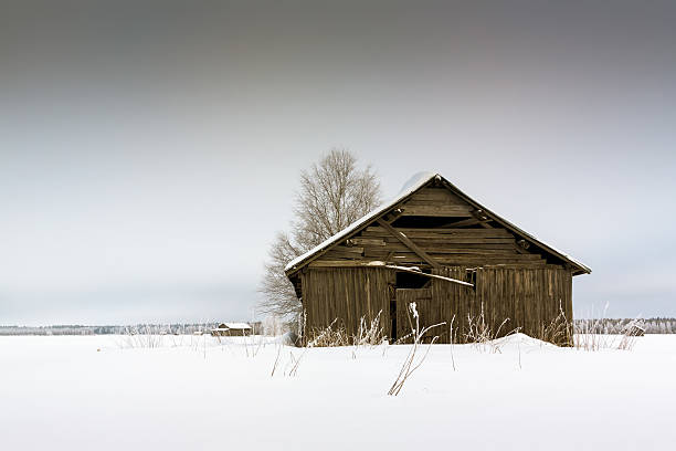 снег скрытой сарай дома - winter finland agriculture barn стоковые фото и изображения