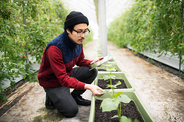 istock Farmer conducting research using a digital tablet in a greenhouse 515481968